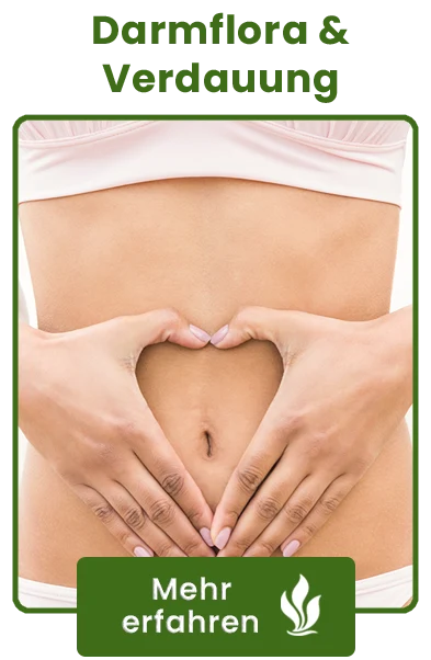 Kelpalge hilft bei Verdauung und unterstützt die Darmflora